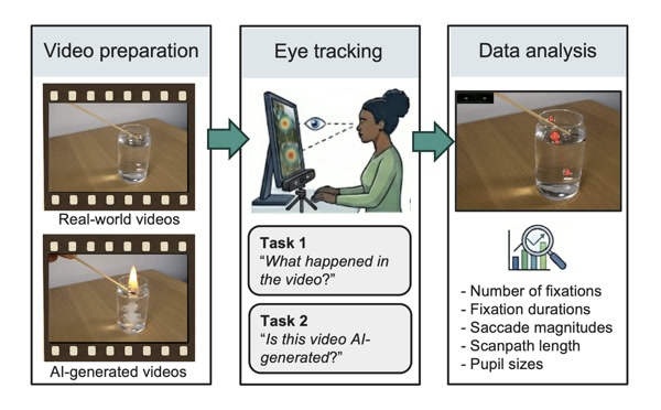 How people watch AI-generated videos of physical scenes